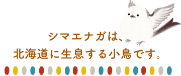 シマエナガは、北海道に生息する小鳥です。
